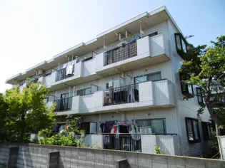 ルミエールの画像