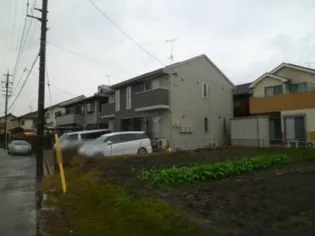 ラフィーナの画像