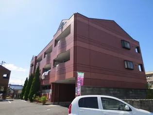 エルアスカの画像