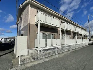 グリンピア花水木の画像