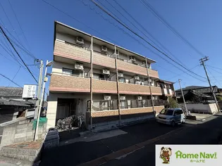 アドバンス錦織の画像