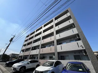 GRACIA新貝の画像