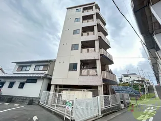 サニーグリーンの画像