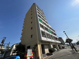 LARGEの画像