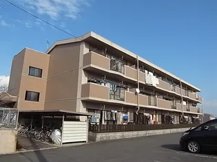 リリカルホリエの画像