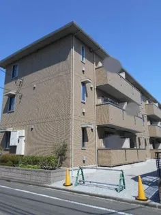 オリーブの画像