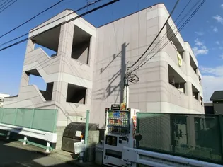 Y'S COATの画像