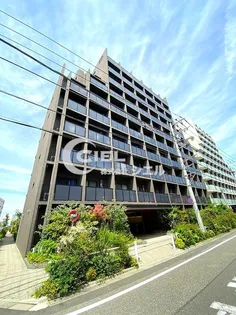 クレヴィスタ板橋西台II【9階】の外観