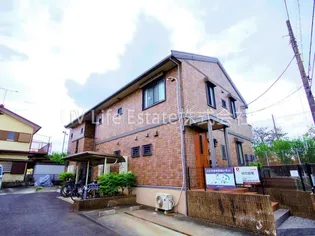 プラムツリーの画像