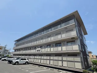 ジュネス藤【4階】の外観