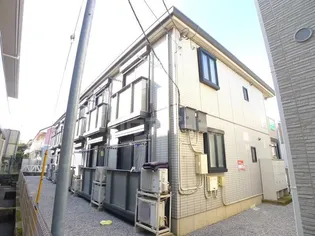 OLIVE LEAVESの画像