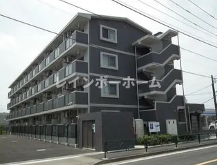 ヴィオラ コリーヌの画像