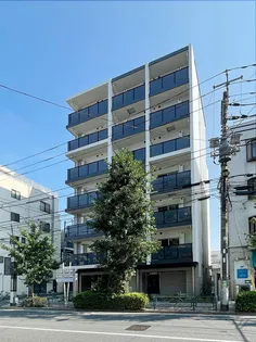 SUNFLOWER GARDENの画像