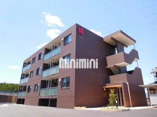 グレーヴェルの画像