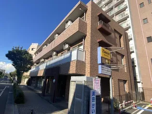 アドニス モリヤの画像