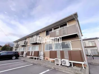 サプリングの画像