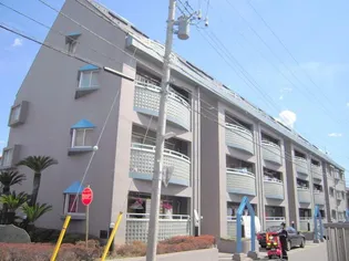 コートトライアングルの画像