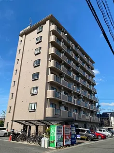 アンタレス豊成の画像