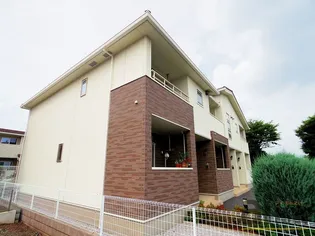 コリーヌ ミニヨン Bの画像