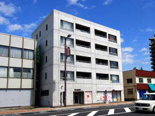 シーガルの画像