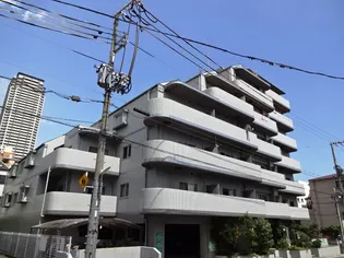 CAPITOLの画像