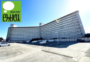 徳島サンハイツ【8階】の外観