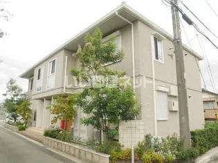 ニコチェーヌの画像