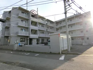 トーヨー柏ハイム【2階】の外観