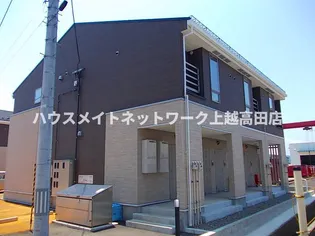 ファイン グレースIIの画像