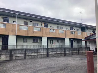 ハイリーコーエツBの画像