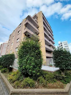 日神パレステージ大宮宮町の画像