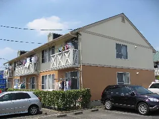 サザンウィンドの画像