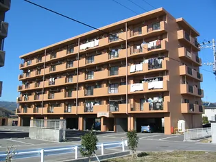 ベルジーク北浜の画像