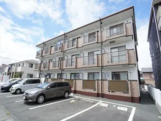 ソフィーの画像