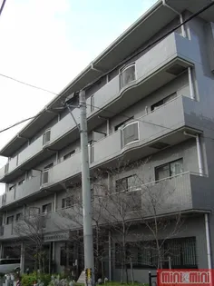 メゾンコーナスの画像