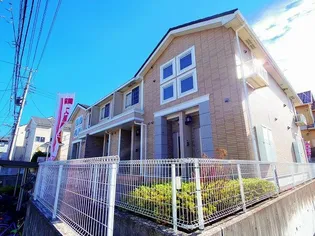 イル ピノッキオの画像