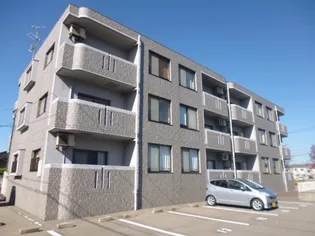 ライム21の画像