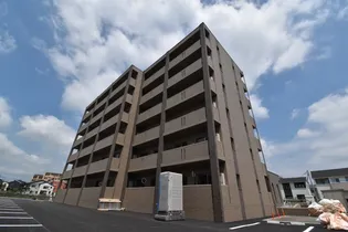 ドムス マーネの画像