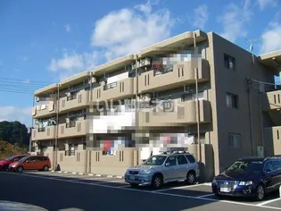 アイランドBの画像