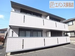 サンフラワーの画像