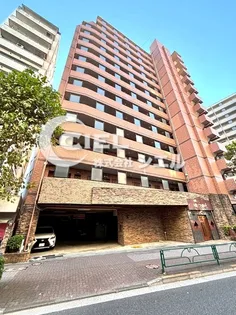 ガラ グランディ練馬の画像