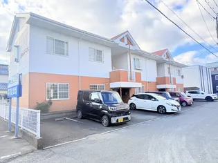 プラドールCの画像