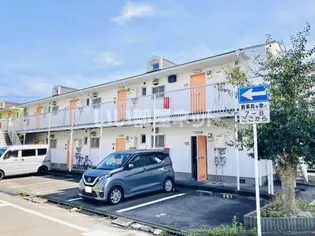 ホワイトパールの画像