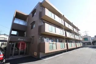 ブルームの画像