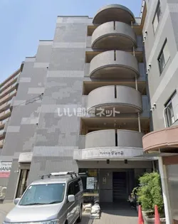 マンショングレースの画像