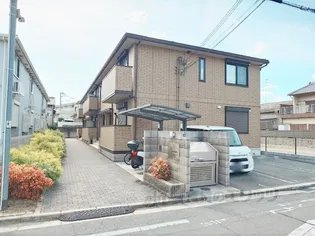 プリムローズの画像