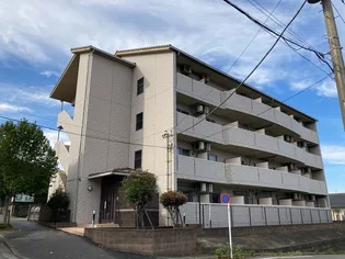アイリスの画像