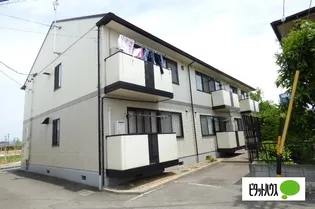 エル プラド21 Bの画像