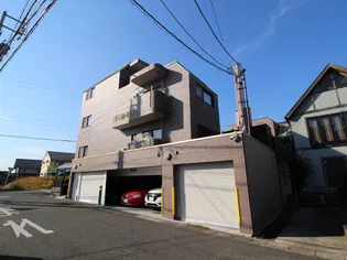 SUNFLOWERIプラスの画像