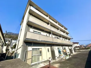 ドルチェの画像